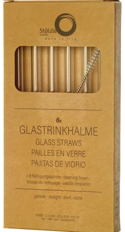 6 Glas-Trinkhalme & Bürste | | Klar - 15 cm Glas Strohhalme|Trinkhalme