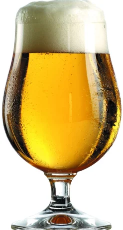 Hot Bierglas Berlin 0,3l | | 390 ml (6 Stk) Biergläser
