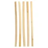 Clearance Bio-Strohhalm aus Schilf | Ø 10 mm x 25 cm - Papstar Pure (50 Stk) Schilf Strohhalme|Trinkhalme
