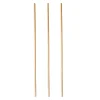 Online Bio-Strohhalm aus Stroh | Ø 4 mm x 23 cm - Papstar Pure (150 Stk) Stroh Trinkhalme|Trinkhalme
