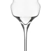 Discount Champagnerglas | Cocoon - | 340 ml (6 Stk) Sektgläser