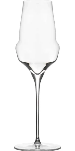 Discount Champagnerglas | Cocoon - | 340 ml (6 Stk) Sektgläser