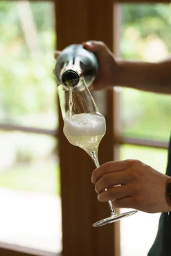 Discount Champagnerglas | Cocoon - | 340 ml (6 Stk) Sektgläser