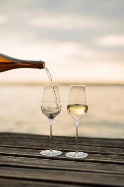 Discount Champagnerglas | Cocoon - | 340 ml (6 Stk) Sektgläser