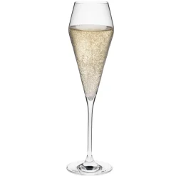 Online Champagnerglas | Edge - Rona | 220 ml (6 Stk) Sektgläser