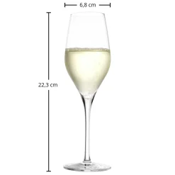 Champagnerglas | Exquisit - | 265 ml (6 Stk) Sektgläser