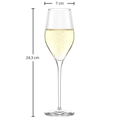 Hot Champagnerglas | Exquisit Royal - | 265 ml (6 Stk) Sektgläser
