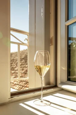 Champagnerglas | Fino - | 425 ml (6 Stk) Kristallgläser|Sektgläser
