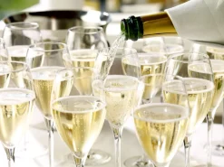Sale Champagnerglas | Prestige - | 0,1l Eiche - 345 ml (6 Stk) Geeichte Weingläser