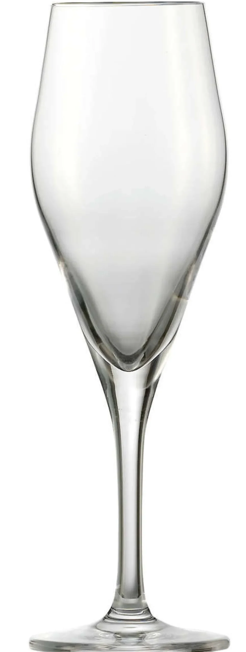 Online Champagnerglas Audience | Bar Special - | 250 ml (6 Stk) Sektgläser