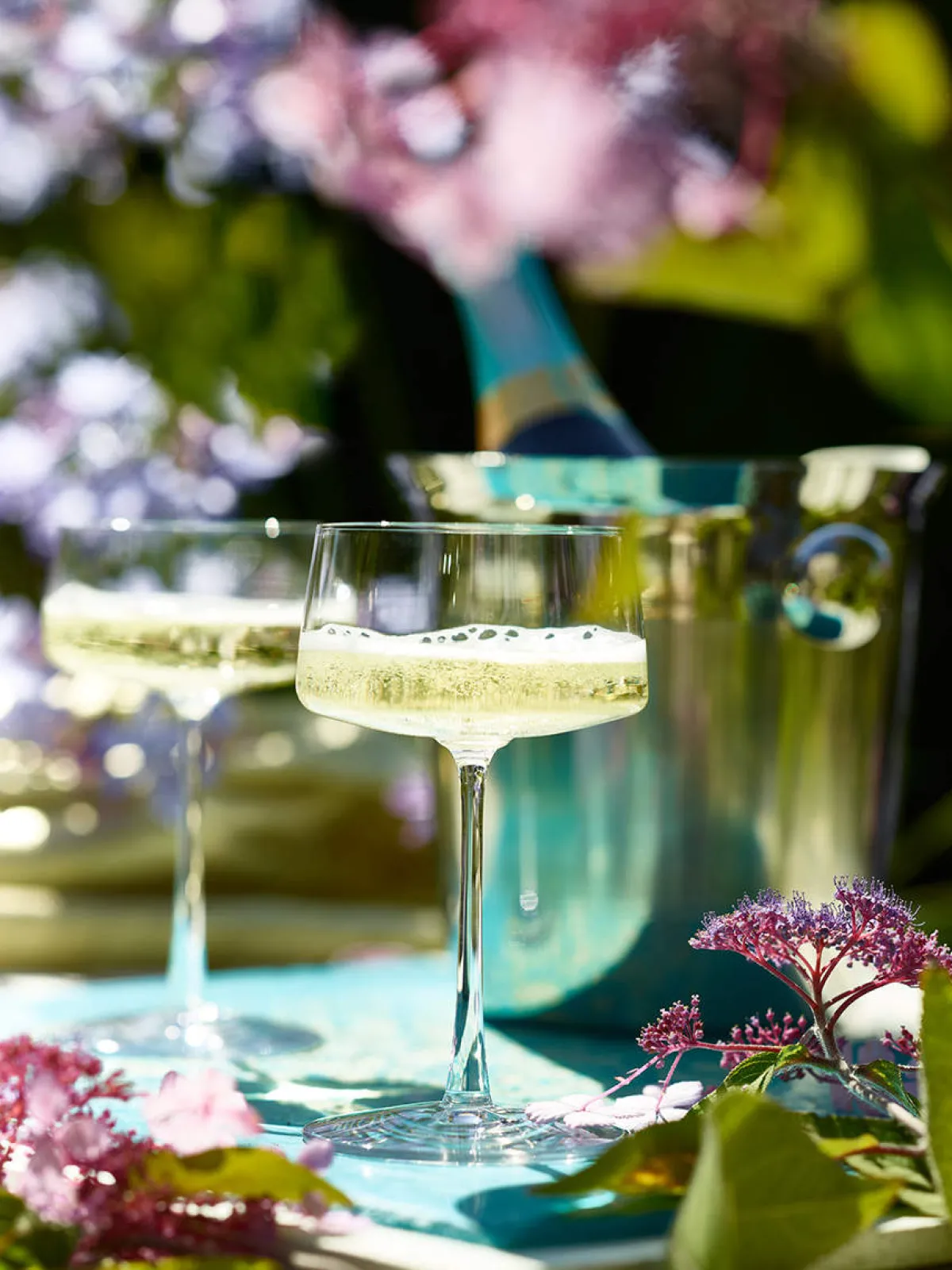 Best Champagnerschale | Power - | 280 ml (6 Stk) Kristallgläser|Cocktail-Schalen