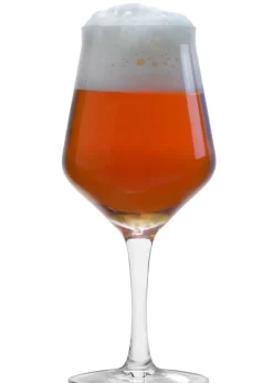 Craft Beer Glas 0,3l | | 430 ml (6 Stk) Biergläser