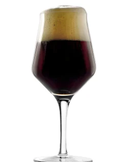 Craft Beer Glas 0,3l | | 430 ml (6 Stk) Biergläser