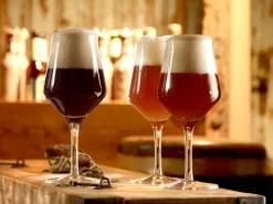 Craft Beer Glas 0,3l | | 430 ml (6 Stk) Biergläser