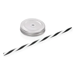 Sale Deckel mit Trinkhalm - für Drinking Jar (6 Stk) Fancy Cocktailgläser