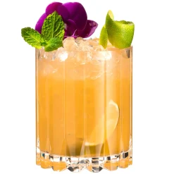 Clearance Double Rocks Glas | Drink Specific Glasware - Riedel Bar | 370 ml (2 Stk) Tumbler / Old Fashioned Gläser