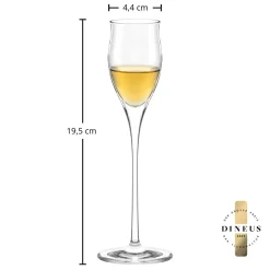 Best Edelbrand Glas | Quatrophil - | 65 ml (6 Stk) Kristallgläser|Grappa & Obstlergläser