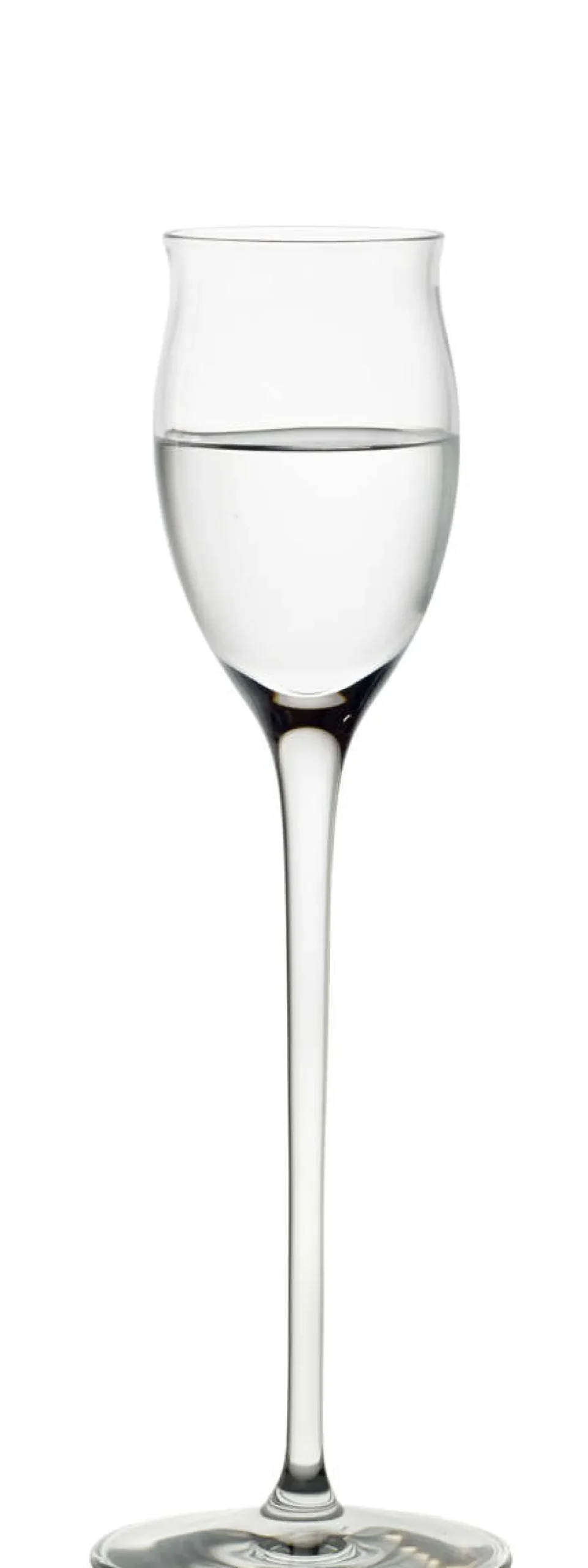 Best Edelbrand Glas | Quatrophil - | 65 ml (6 Stk) Kristallgläser|Grappa & Obstlergläser