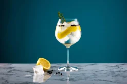 Clearance Gin & Tonic Ballon Kristallglas | 650 ml Gin & Tonic Gläser