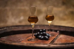 Hot Grappaglas | | 90 ml Grappa & Obstlergläser