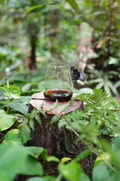 Sale Rotweinbecher | Cocoon - | 560 ml (6 Stk) Klare Wassergläser|Spezielle Weingläser