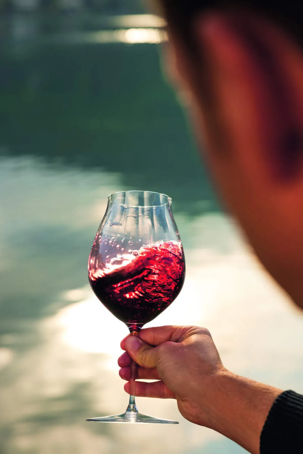 Discount Rotweinglas Pinot Noir | Performance - Riedel | 830 ml (2 Stk) Rotweingläser