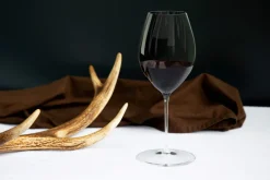 Discount Rotweinglas Syrah - Shiraz | Performance - Riedel | 630 ml (2 Stk) Rotweingläser