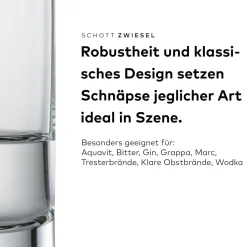Discount Schnapsglas - Shot | Convention - | 45 ml Schnapsgläser