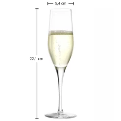 Sektglas | Exquisit - | 175 ml (6 Stk) Sektgläser