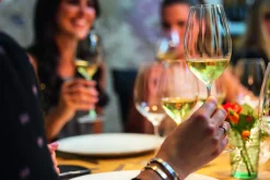 Outlet Weißweinglas Riesling | Performance - Riedel | 620 ml (2 Stk) Weißweingläser